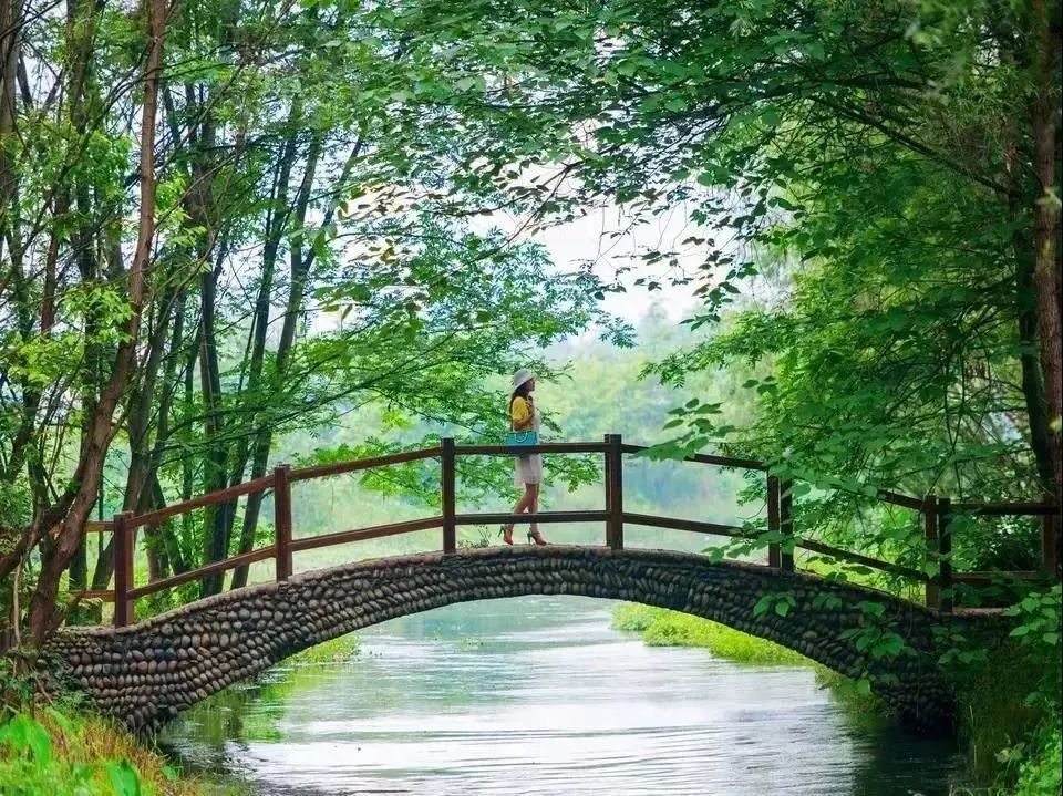 青白江美景,青白江风景美景