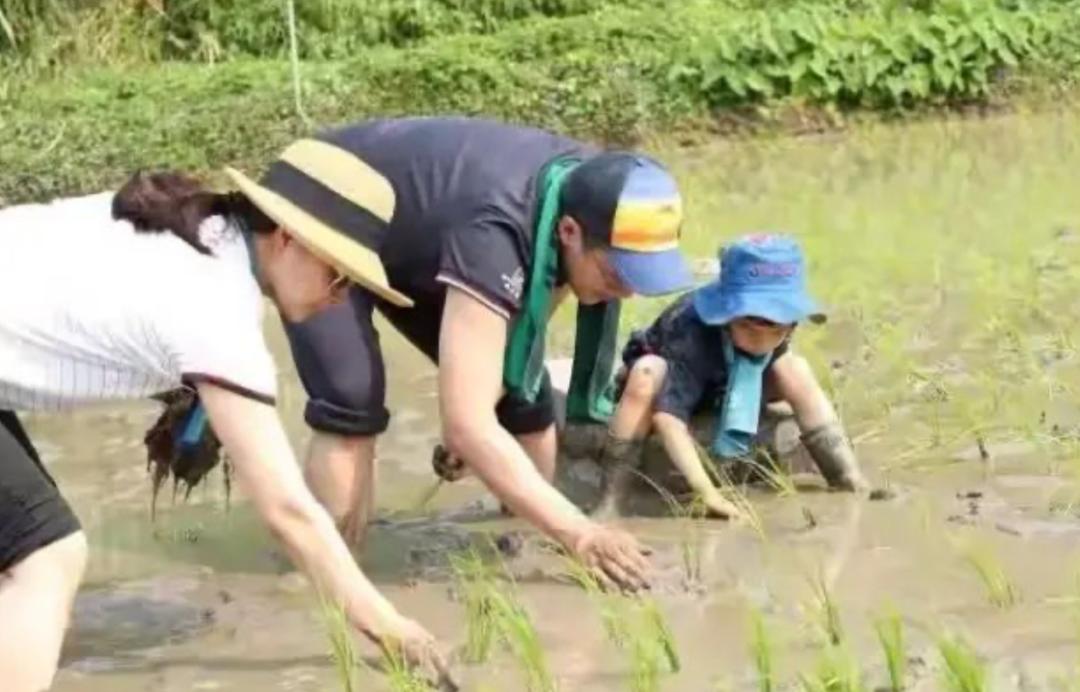 儿子5岁还没尝过盐,有必要吗?网友吵翻了,刘璇:只用运动员一半标准在当妈