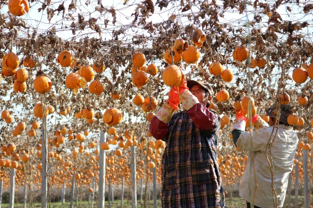 “三学三比”中乘风破浪的宿城人(15)