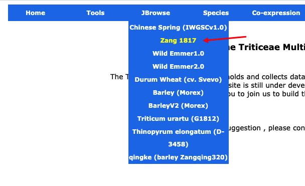 小麦基因组序列查询,小麦基因组