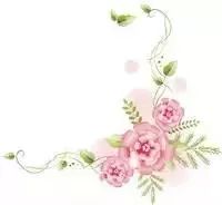 有文化有底蕴有内涵,有文化有温度