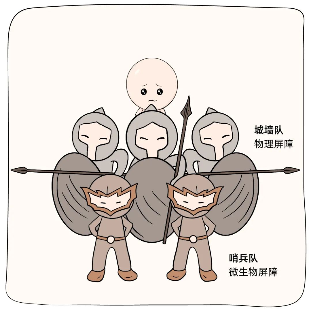 你的脸为什么会越来越脆弱,你的脸经历了什么