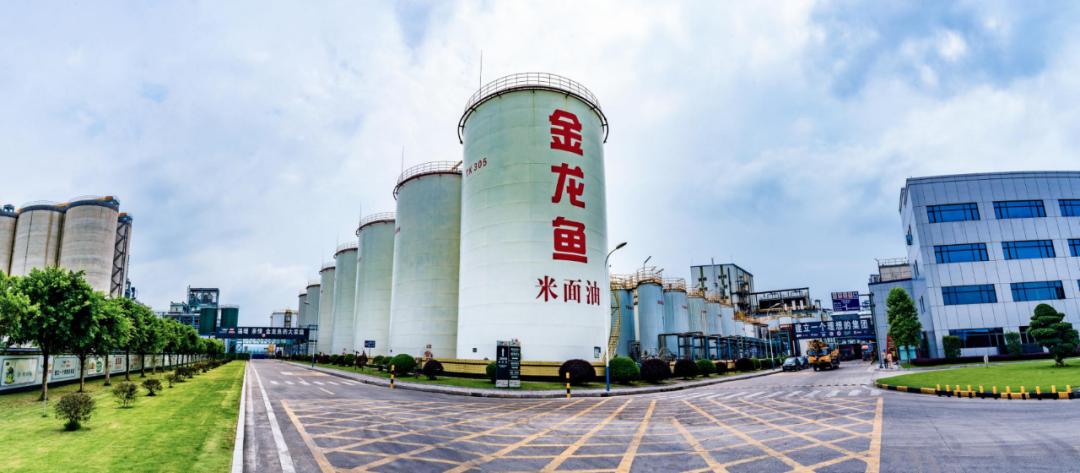 干得漂亮奖状素材,干得漂亮后续