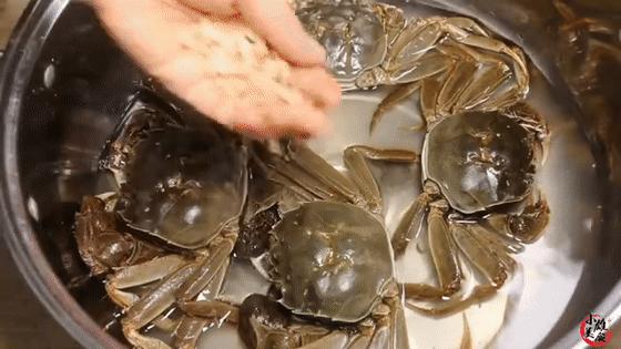 螃蟹蒸好后可以放冰箱冷冻保存吗,螃蟹蒸熟后放冰箱冷冻能保存多久