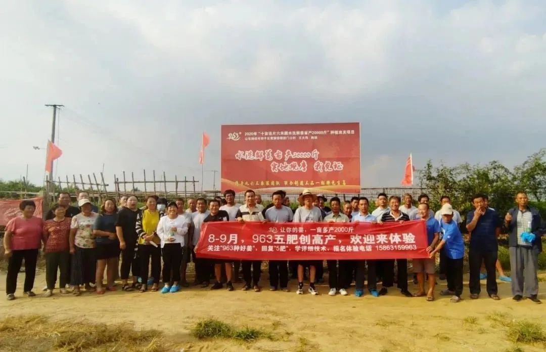 2021年要种好姜？邀请你花1天时间，给自己一个确切的答案