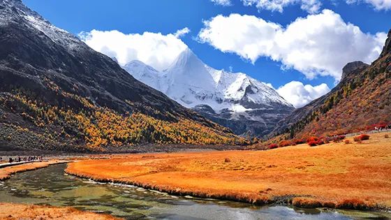 传说中的枫叶,传说中的光雾山红叶