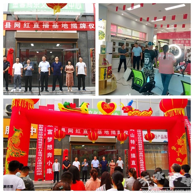 天水电子商务发展的意见,天水电子商务创业