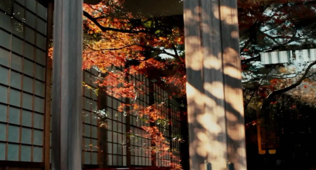 在秋天，向着美好时光，我伸出双手