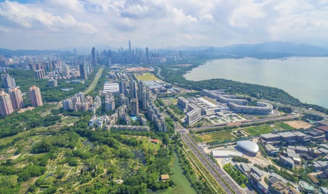 深圳是一个什么样的城市形容词,深圳一座来了就不想走的城市