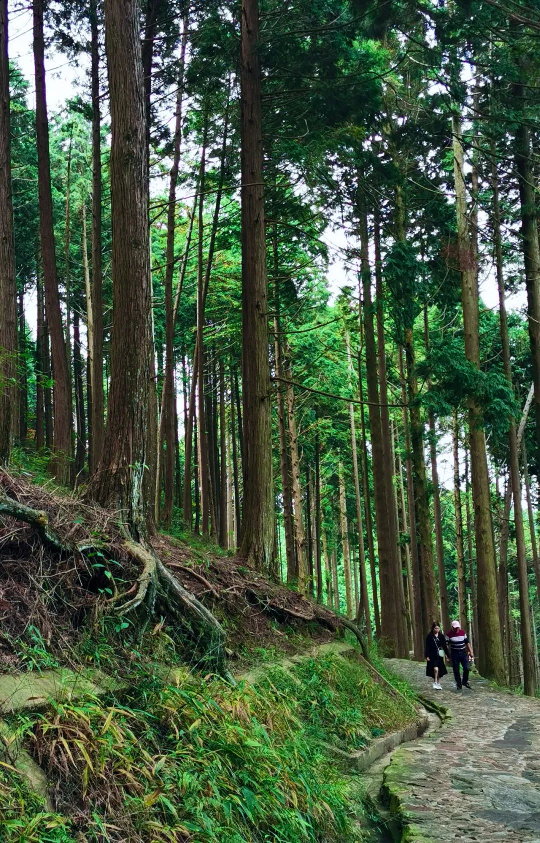 武汉人自驾游住哪里,武汉人自驾游住哪里好
