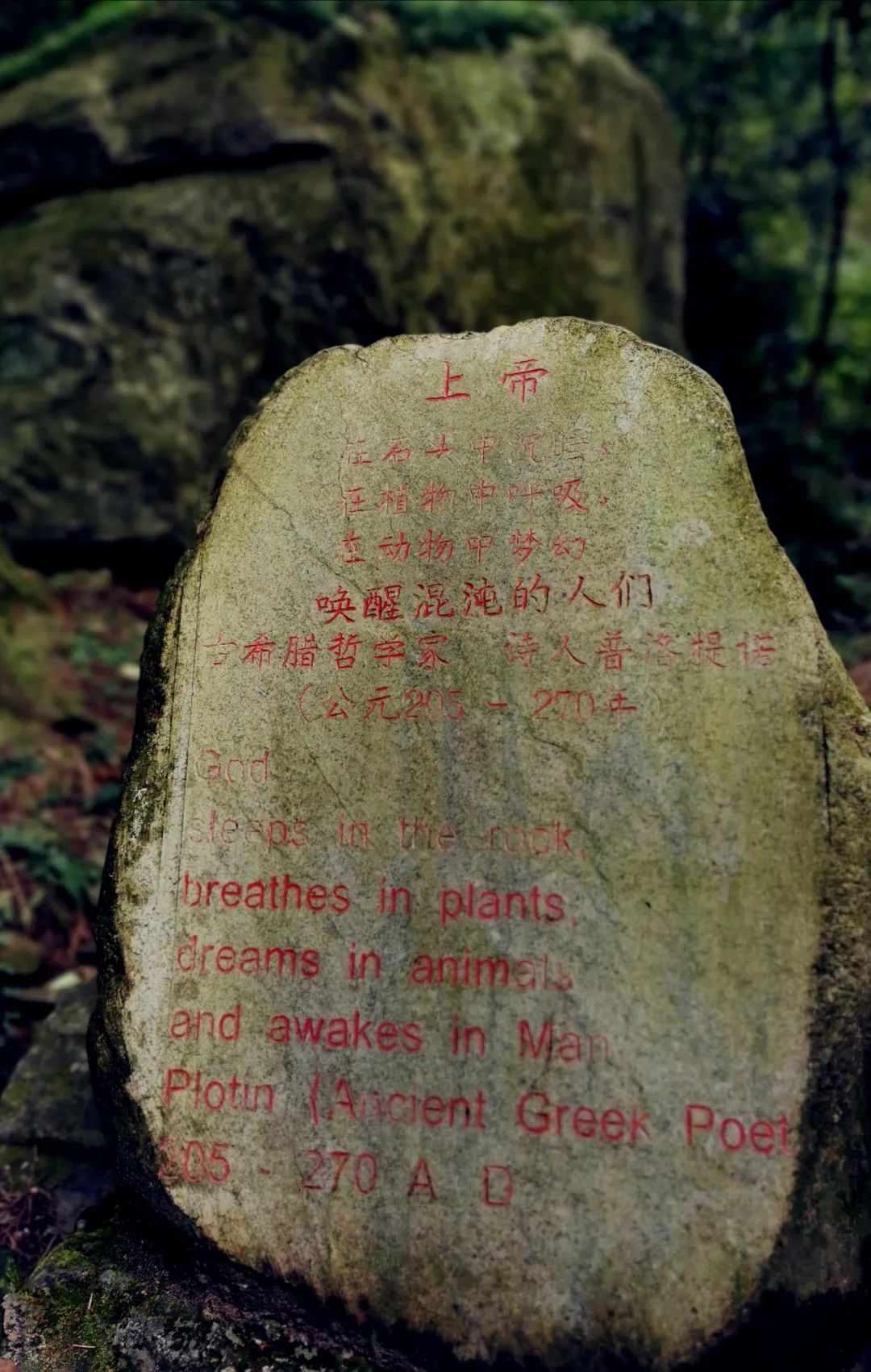 武汉人自驾游住哪里,武汉人自驾游住哪里好