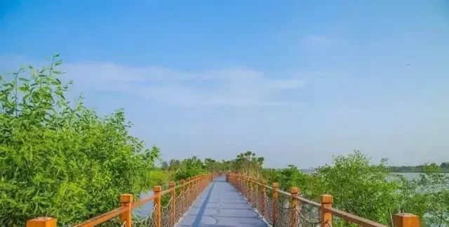 东莞周末带小孩哪里有好玩的地方,东莞又有什么好玩的