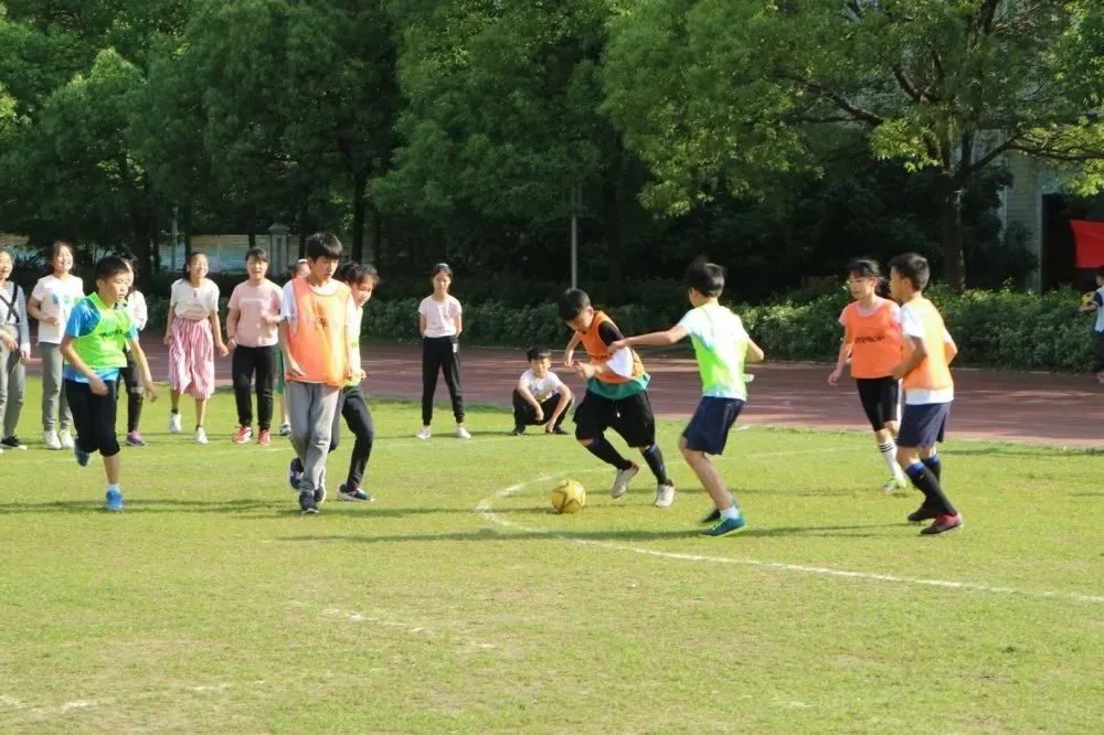 每天一节体育课落实情况,每天一节体育课是真的吗
