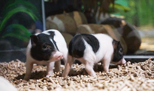 打工人必看的信息,打工人必看系列