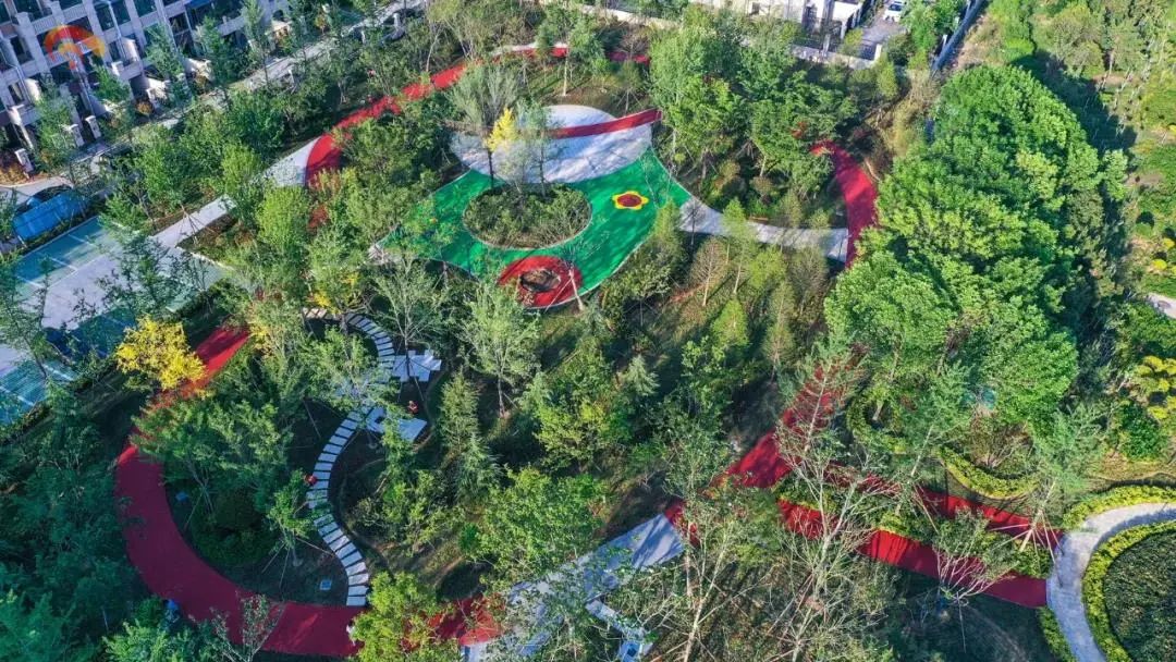 东港辉煌历史,东港荣誉图片