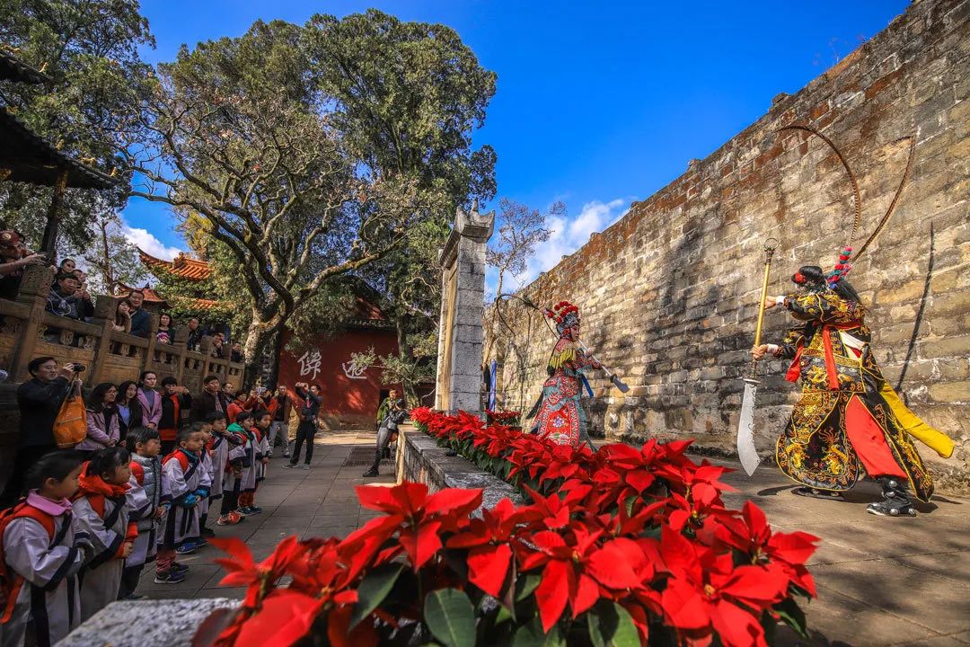 昆明春城秀图片,昆明正宗春城秀