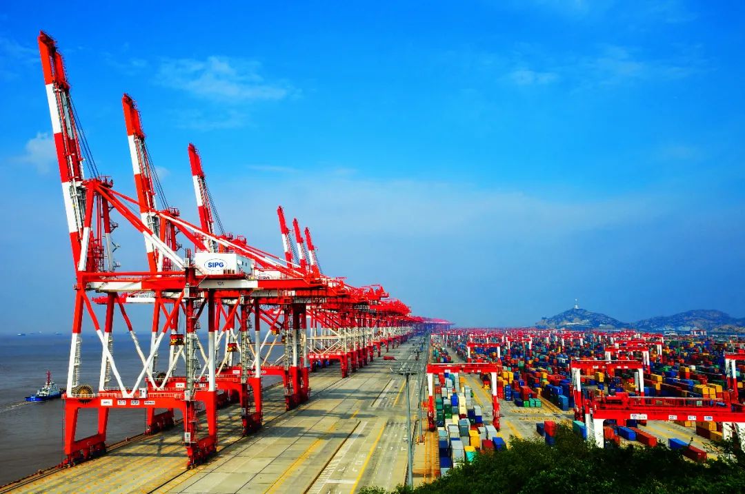 站在新起点奔向新征程，浦东把“王牌”打出时代新内涵