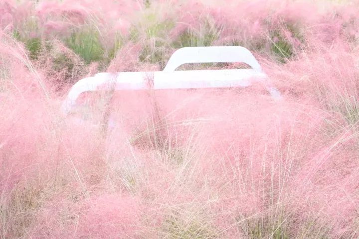 成都100种美景图片,航拍中国成都十大风景区