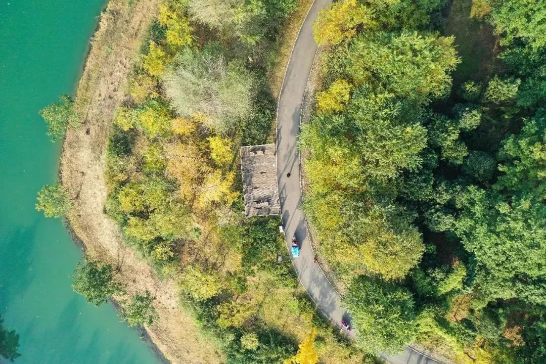 成都1100个公园俯瞰,成都100个公园规划图