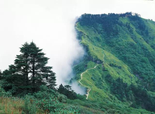 成都1100个公园俯瞰,成都100个公园规划图