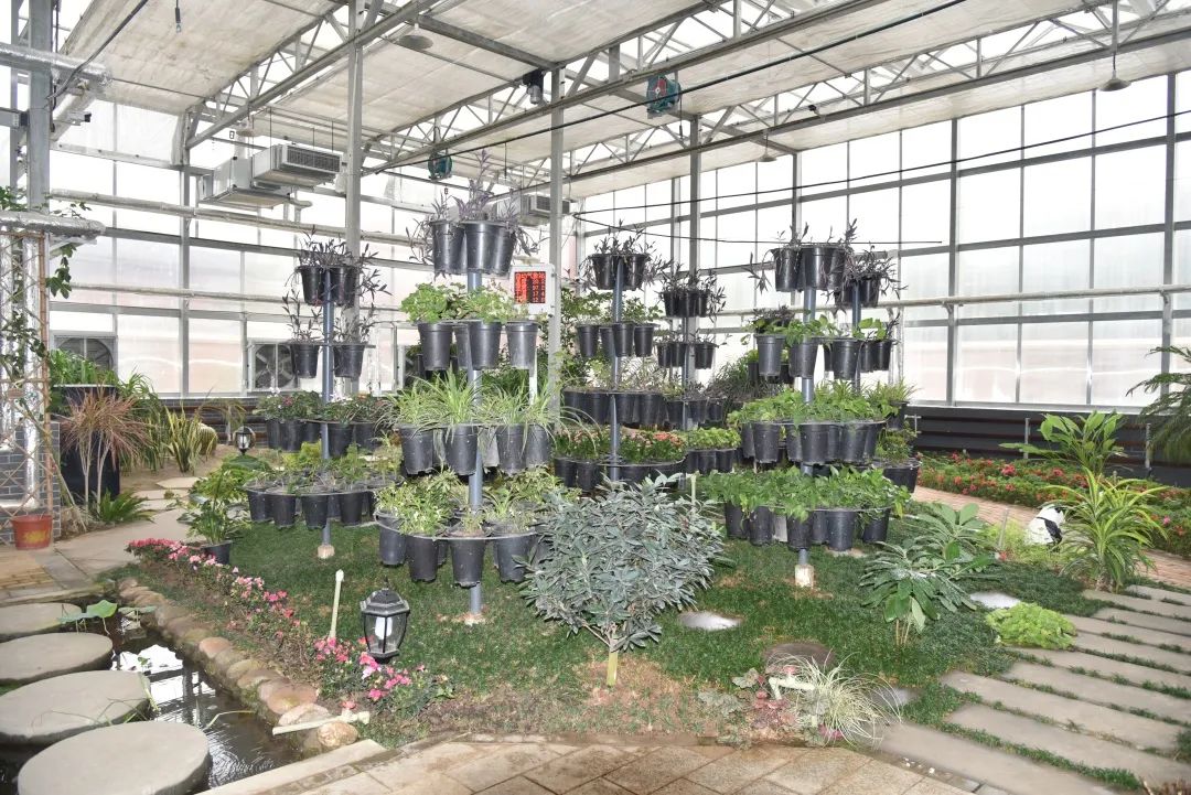 大邑县城里最好的小学,大邑小学有哪些