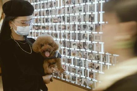 喜茶开放加盟店吗,喜茶开连锁