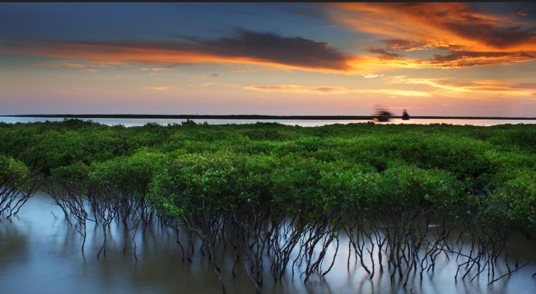 上车旅游打卡,上车打卡下车打卡