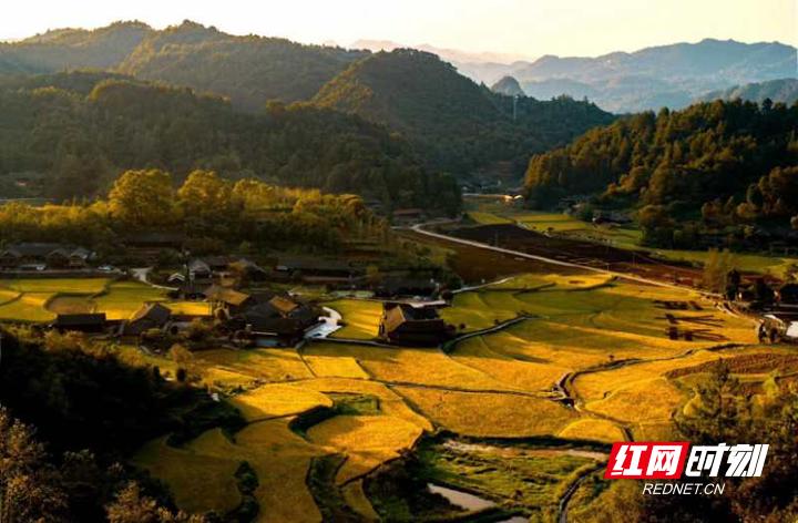 张家界永定区脱贫攻坚,小山村靠旅游业成功脱贫攻坚