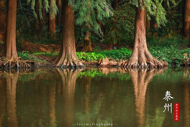 泰州水城有什么好玩,水城泰州