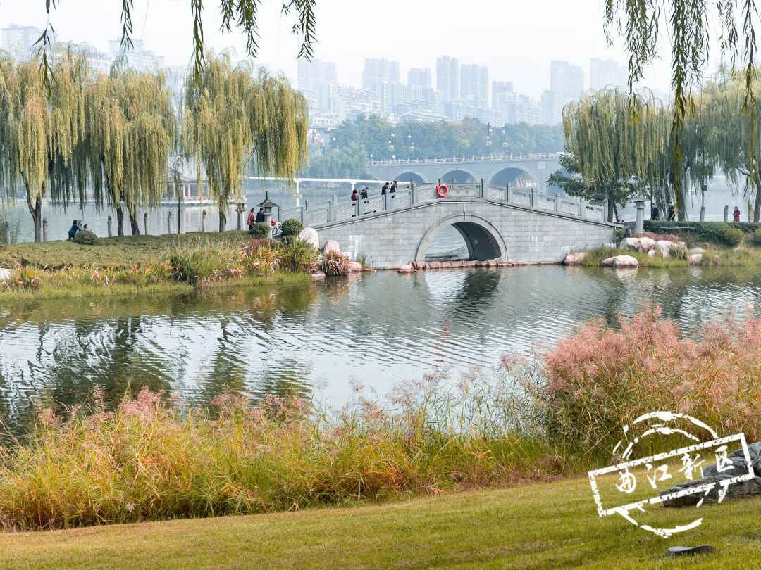 曲江秋天风景,曲江的秋色