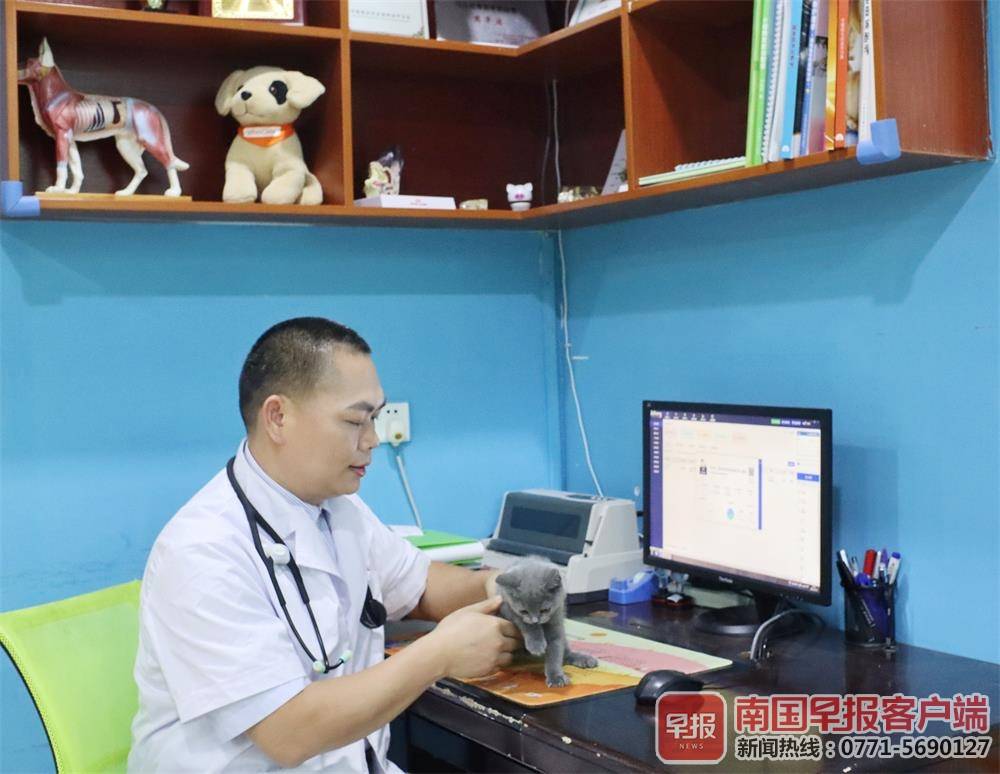 宠物生病越治疗越严重怎么办,养宠物有助于治疗老年痴呆吗