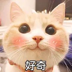 网上搜索到的性知识，有多令人窒息？