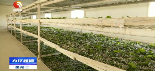 修水马坳,江西省修水县马坳