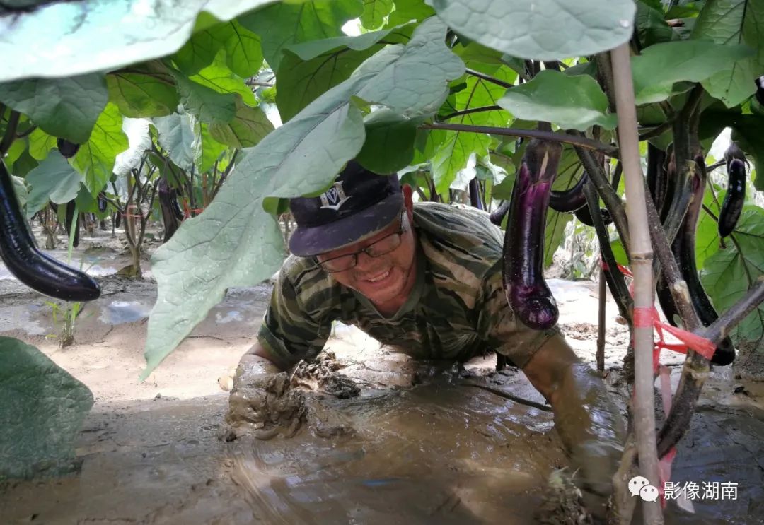 一篇迟到的推文,一篇迟到的作文