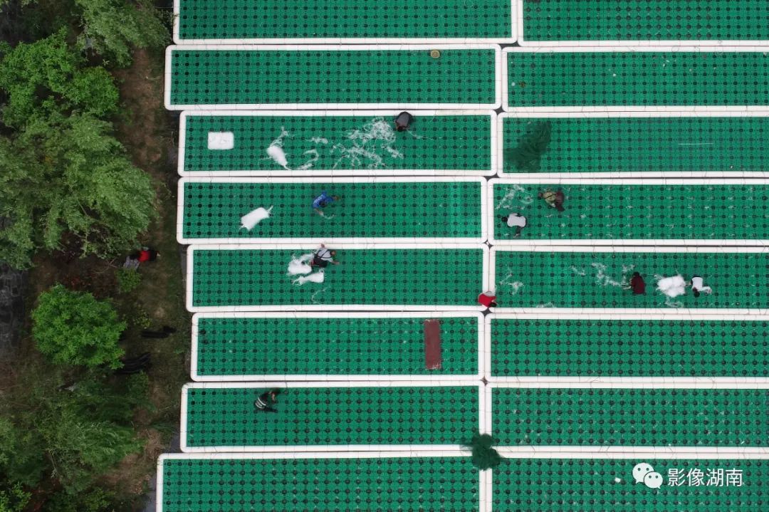 一篇迟到的推文,一篇迟到的作文