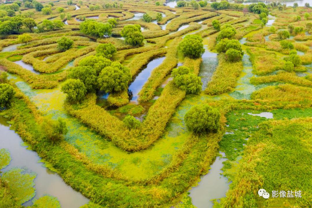 盐城发色,盐城代表颜色