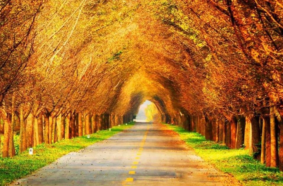 盐城发色,盐城代表颜色