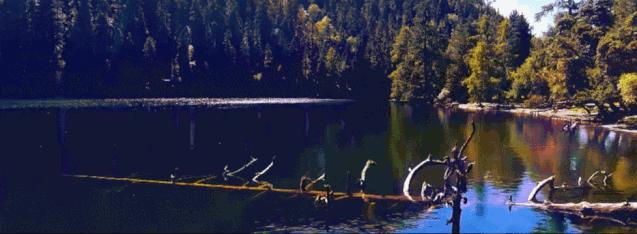 “双十一”提前了!本周末,东莞这里有文旅体大聚会!