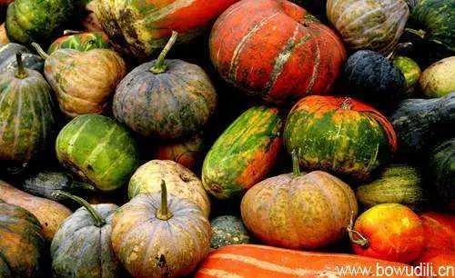 中国二十四节气之一立冬,传统文化二十四节气之立冬