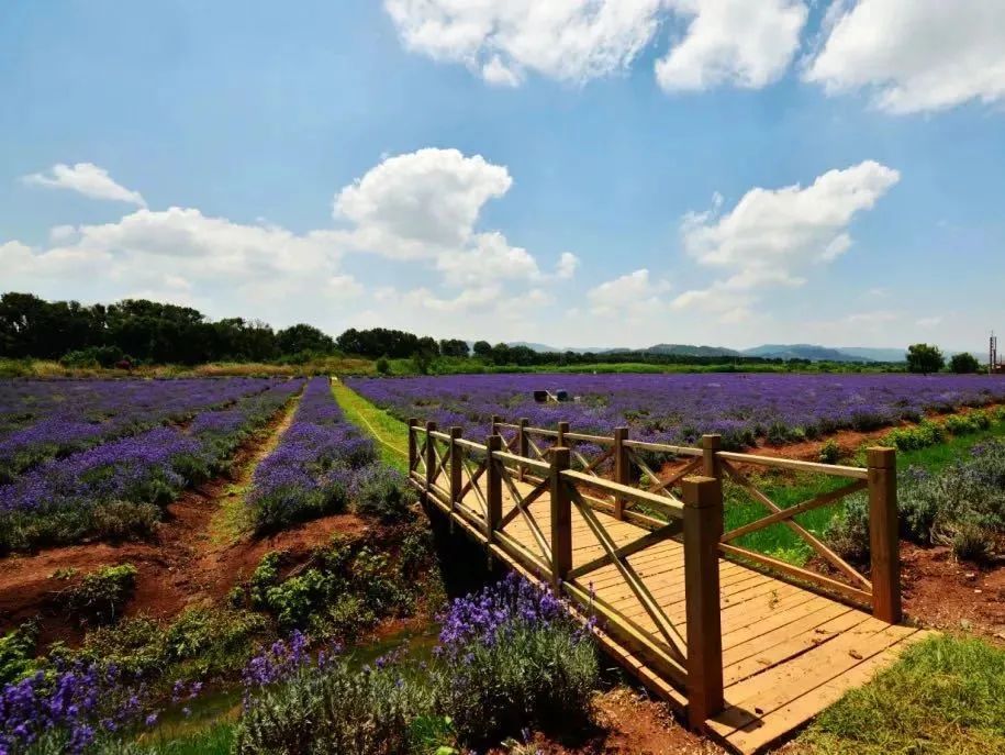昆明嵩明玩的地方,潮玩派对昆明店