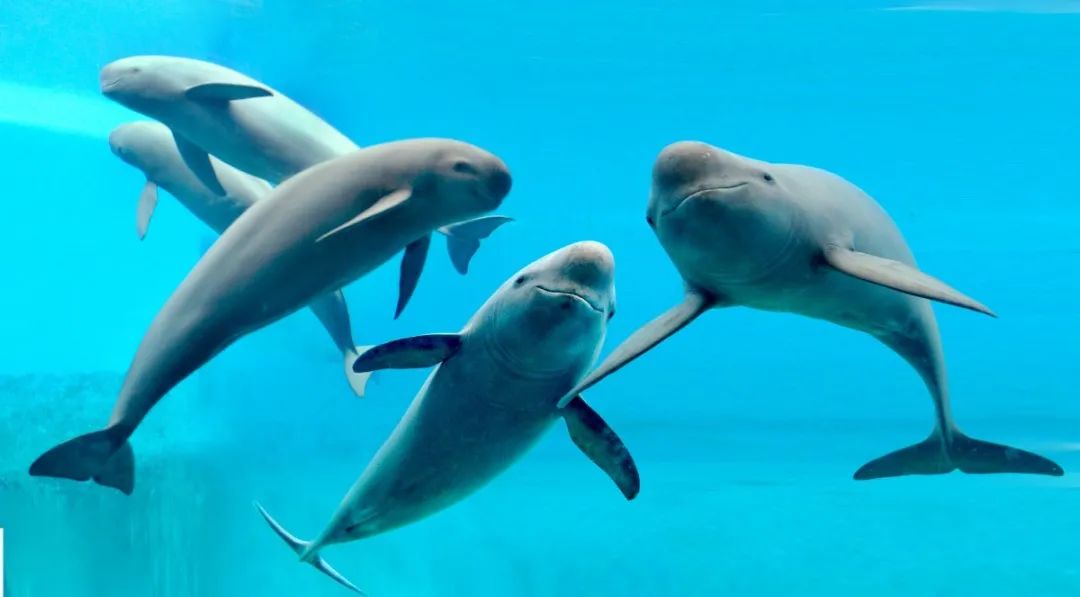 最美乡村游推荐湖北,300条全国乡村旅游精品线路