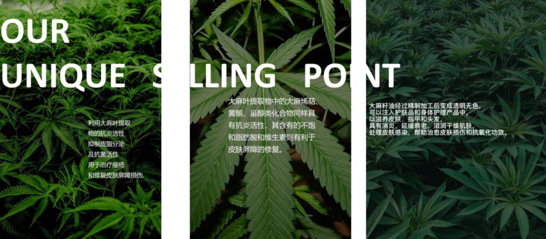 6大概念新锐：他们都在这么讲香氛洗护、CBD护肤的故事#新品特辑100