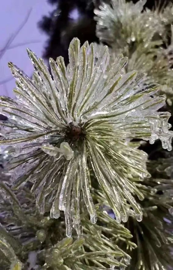 延边滑雪东北已率先进入雪季,延边开启滑雪季快来嗨翻冬天