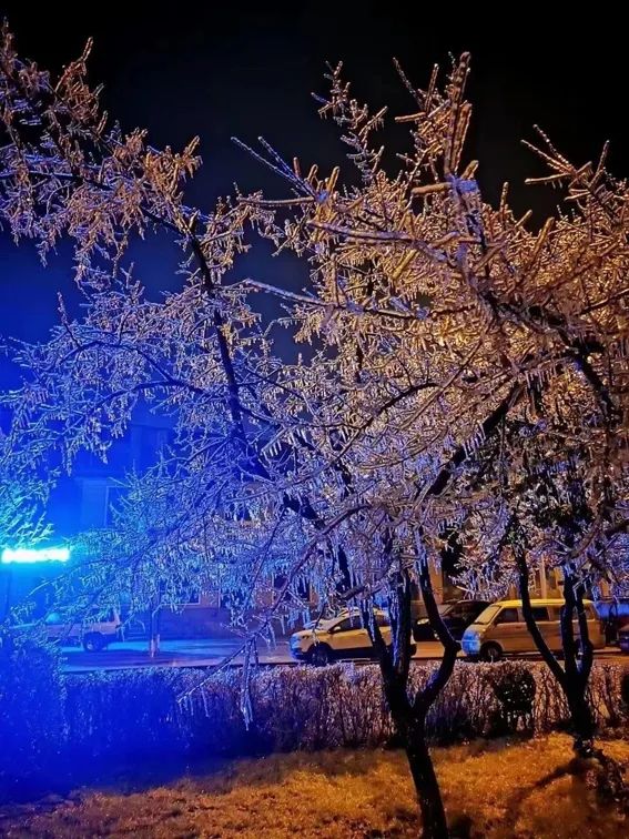 延边滑雪东北已率先进入雪季,延边开启滑雪季快来嗨翻冬天