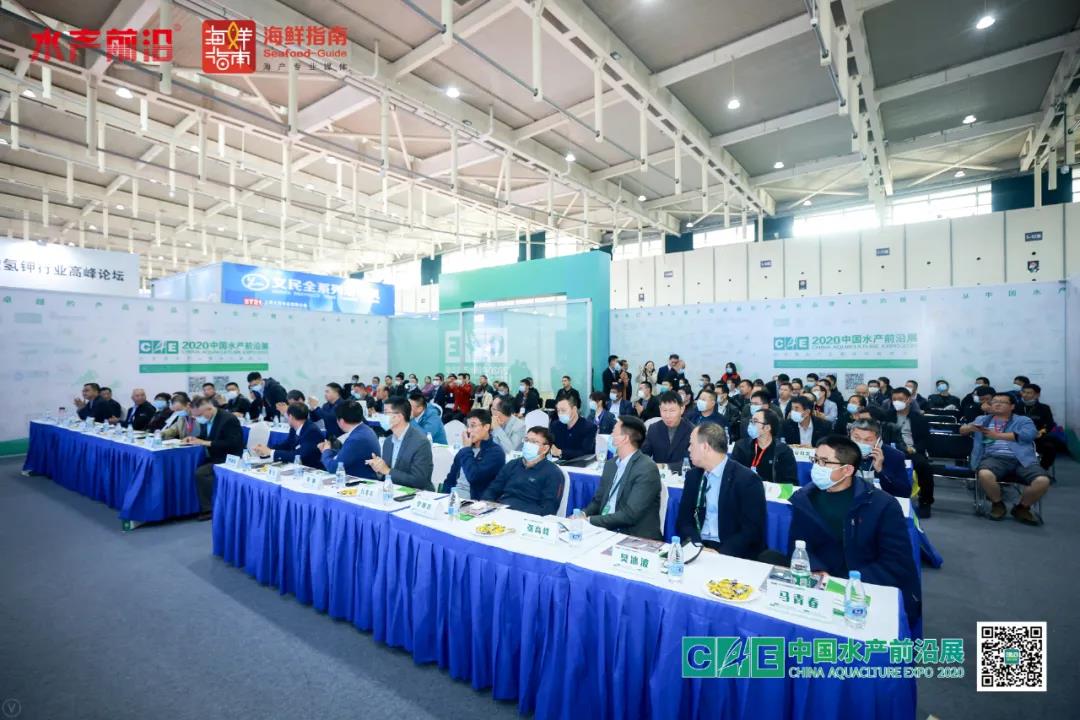 怎样辨别过硫酸氢钾真伪,去伪存真是透过现象看本质吗