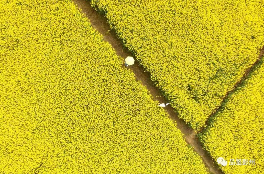 鑸媿褰窞鍏ㄦ櫙瑙嗛,鍑犱綍鑸媿