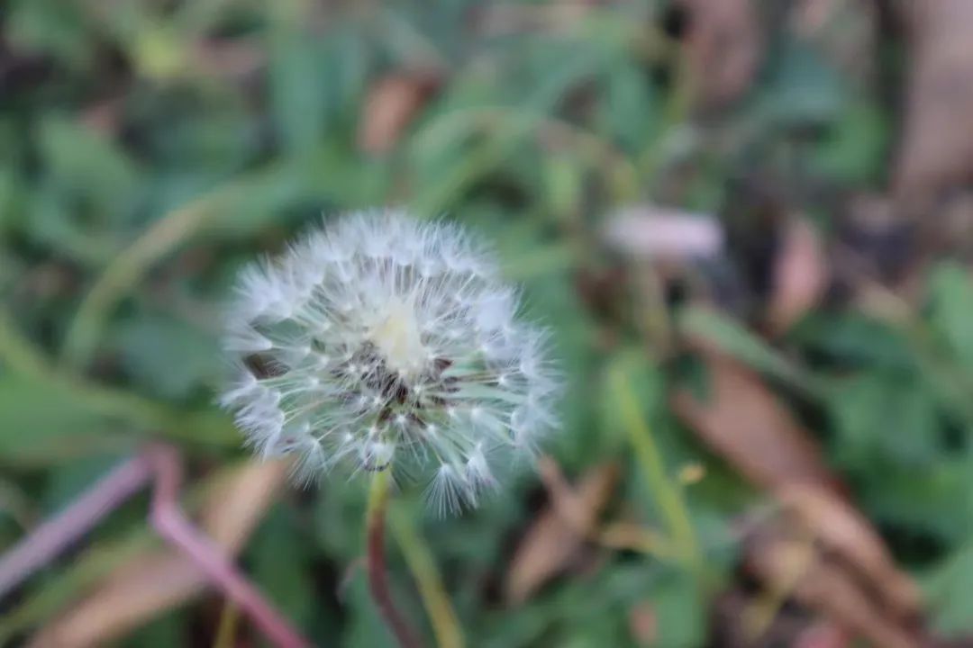 清北现在的情况,清北最新消息