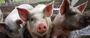 天津疫情今日感染人数,天津海联冷库最新疫情报告