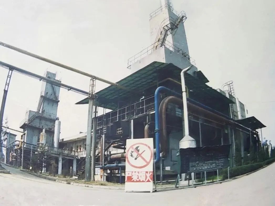 马拉多纳四川成都,缅怀马拉多纳的人都在哪里