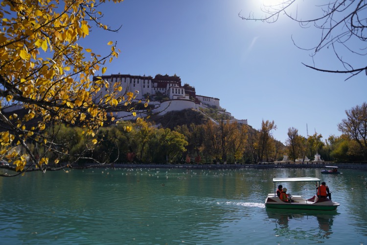 拉萨：丁真最想去的城市冬天是怎样的？